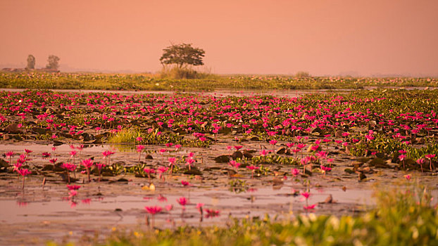 trưc tiêp xsmb