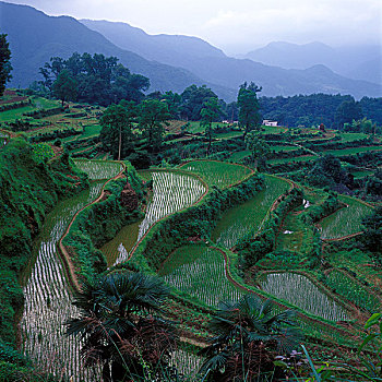 sổ kqxsmb