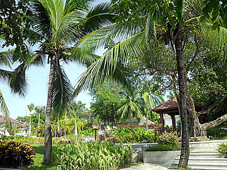 lô rơi miền bắc