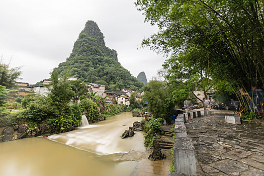 soi rong bạch kim