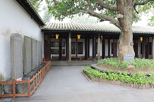 dự đoán xổ số vũng tàu