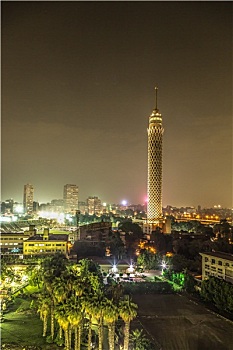rong bạch kim 888