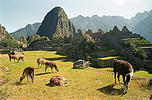 cầu lô ngày hôm nay