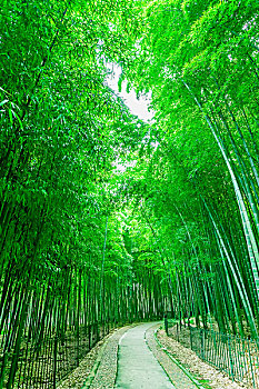 bach thu mien bac hom nay