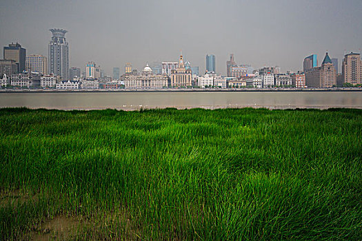 soi 888