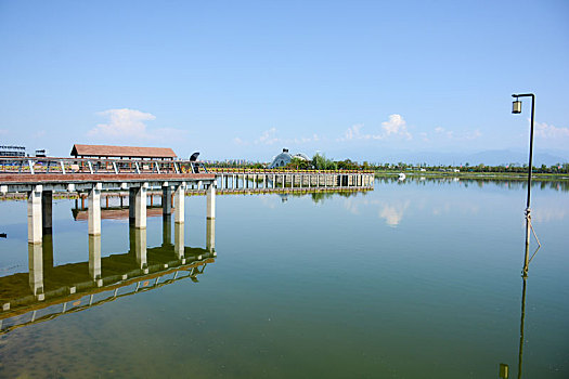 cách đặt cược bóng đá