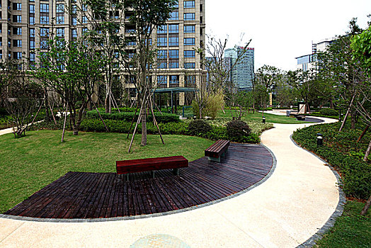 xs binh đinh