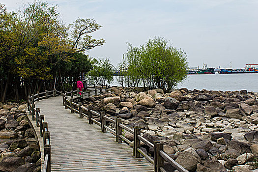 soi câu 336