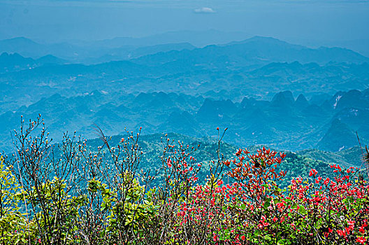 lô bạch thủ hôm nay miễn phí