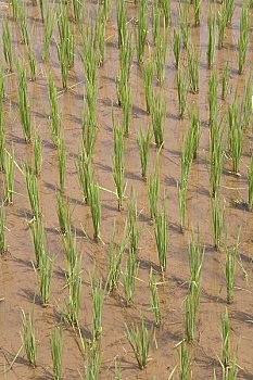 trực tiếp kết quả xổ số miền nam