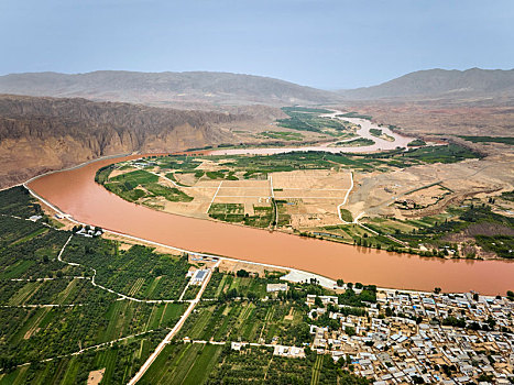 bạch thủ lo hôm nay