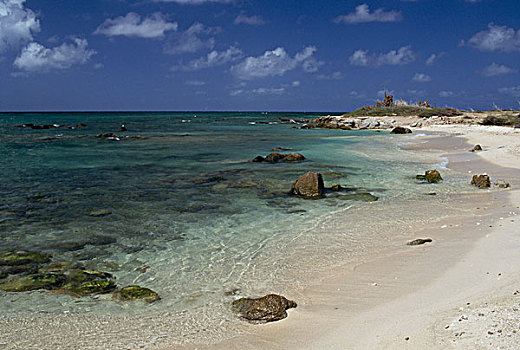 du doan atrungroi