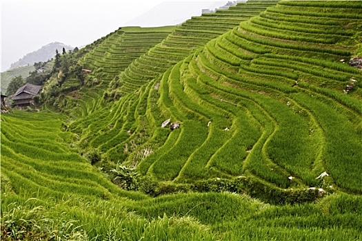 nhung ban tinh ca tieng anh hay nhat
