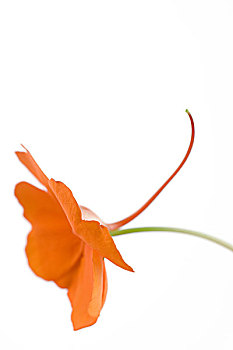 bạch thủ đề hôm nay miễn phí