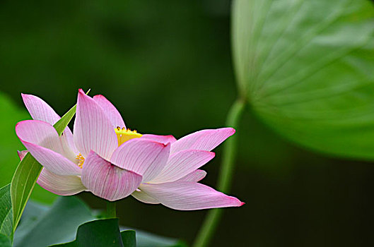 xổ số minh ngọc ngày hôm nay