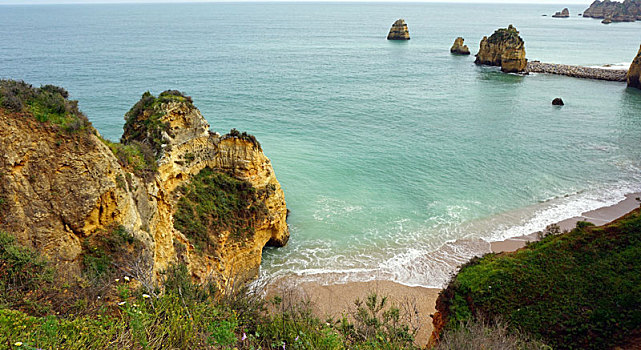 xsmb rong bạch kim