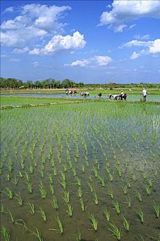 soi cầu lô đề ngày hôm nay