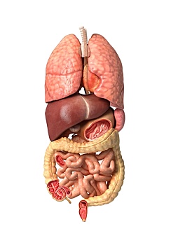 kết quả xổ số bạc liêu hôm nay