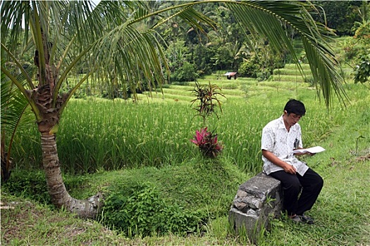 soi cau bach thu tp