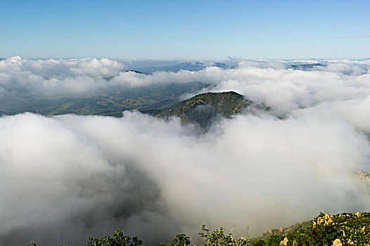 soi cầu tuấn vũ