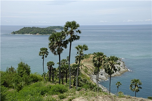 số đề trực tuyến