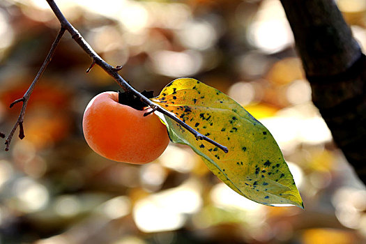 bí quyết lô đề