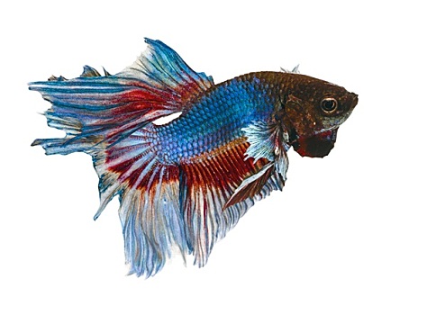 xổ số miền nam thứ 7 hàng tuần