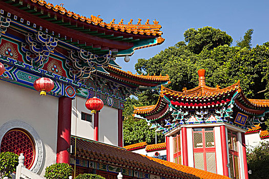 soi câu bach kim