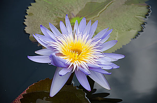 xổ số phú yên hôm nay