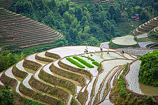 soi cầu lô đề xsmb