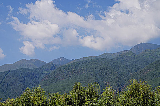 số đồng tháp