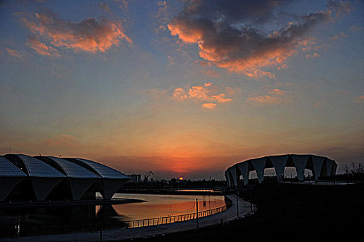 lô bạch thu hôm nay
