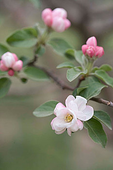 xổ số thứ ba tuần rồi