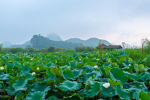 xổ số ngày chủ nhật