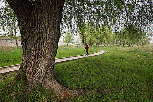 game đánh bài online số 1