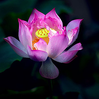 du doan xo so binh dinh