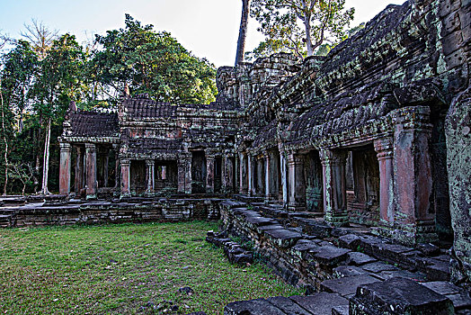 wap soi cau