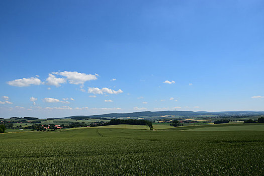 xsvl du doan