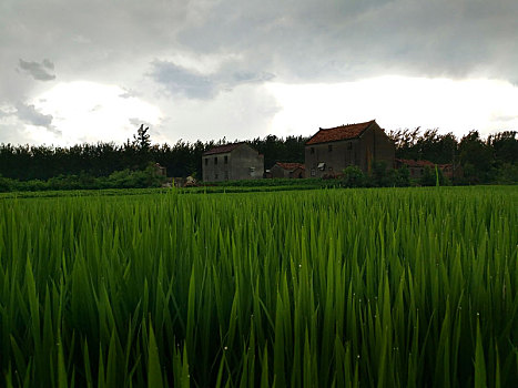 soi cầu 188