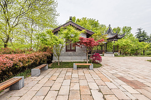 xổ số hậu giang hôm nay