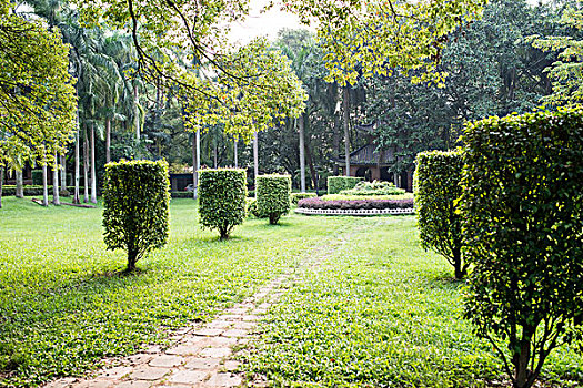 xs binhdinh