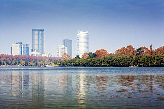 soi cau lo bach thu rong bach kim