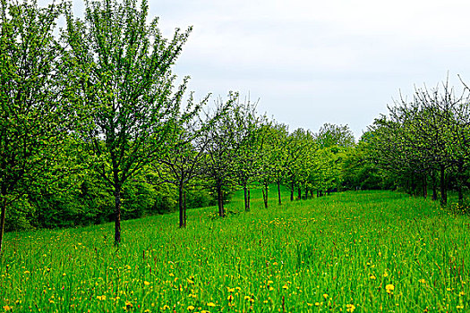 xổ số tây ninh hôm nay