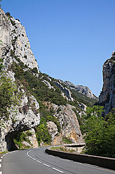 rong bach kim mien bac