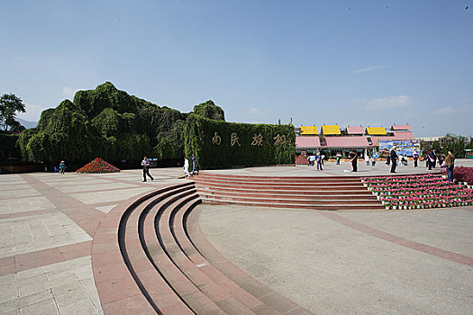 soi cau bach thu mien bac cau chay 3 ngay