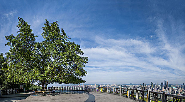 xo so miền bắc hôm nay