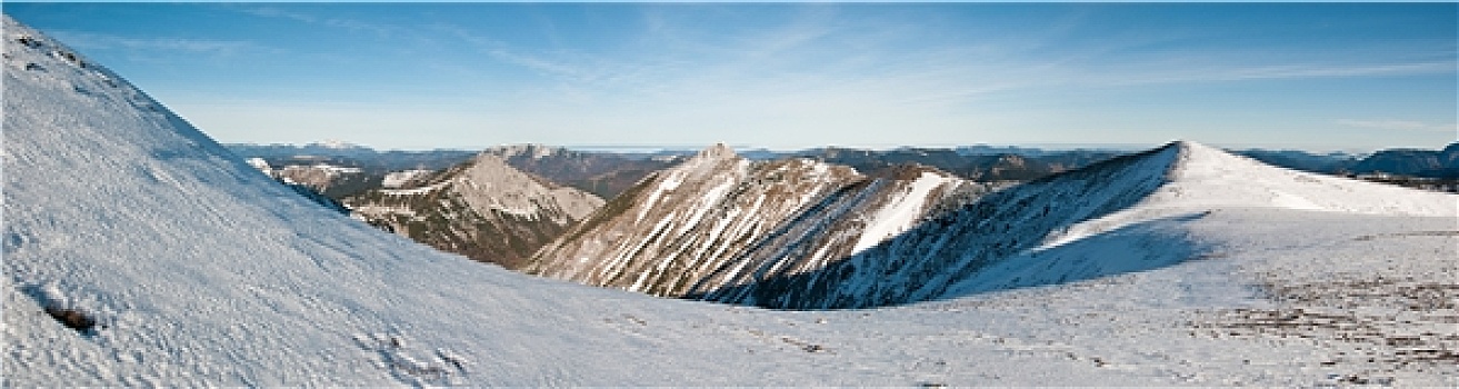soi cau lo bach kim