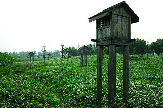 thống kê xổ số tiền giang