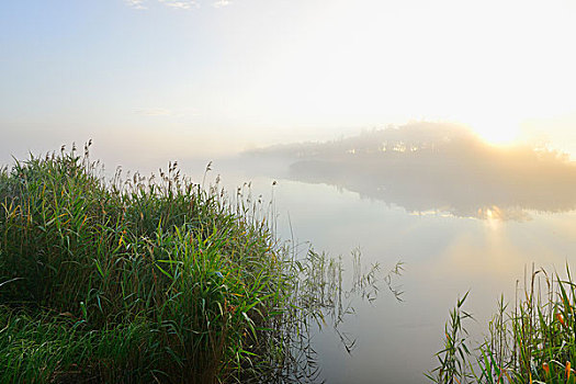 soi cầu ngày hôm nay