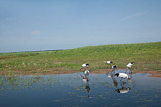 xổ số phú yên